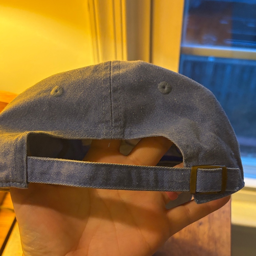 Blue Fish Cap - Picture 3 of 3